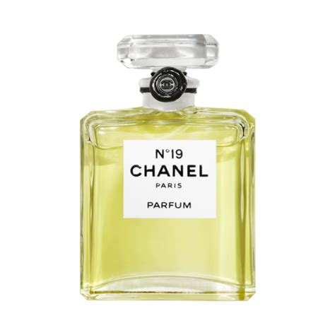 chanel no 19 ebay|where to buy chanel 19.